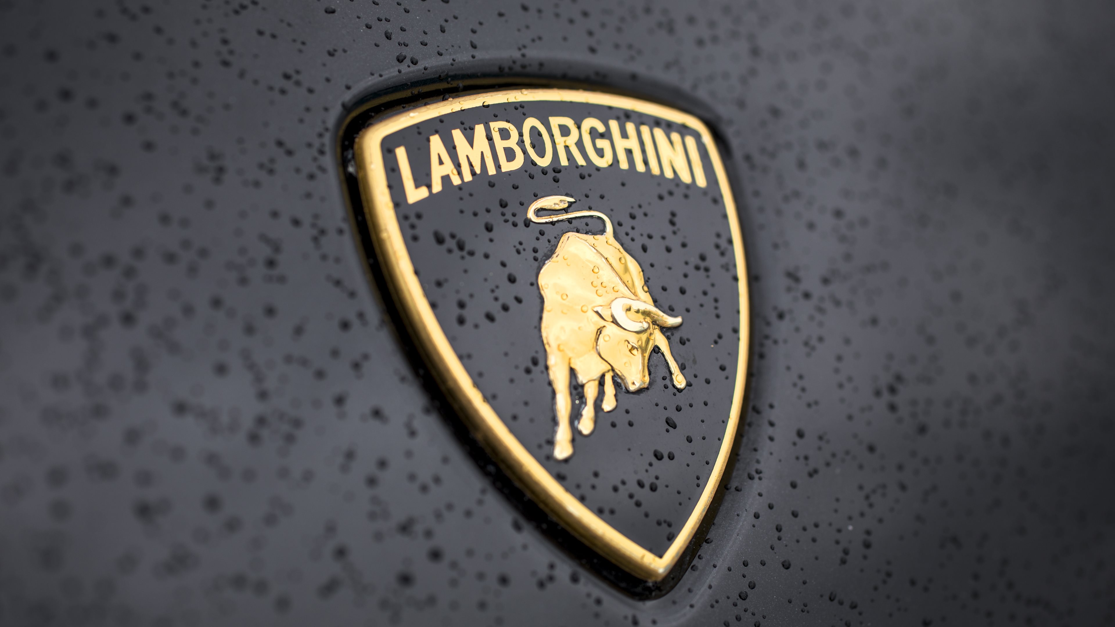 The curious case of the Lamborghini Centenario | Up Cars